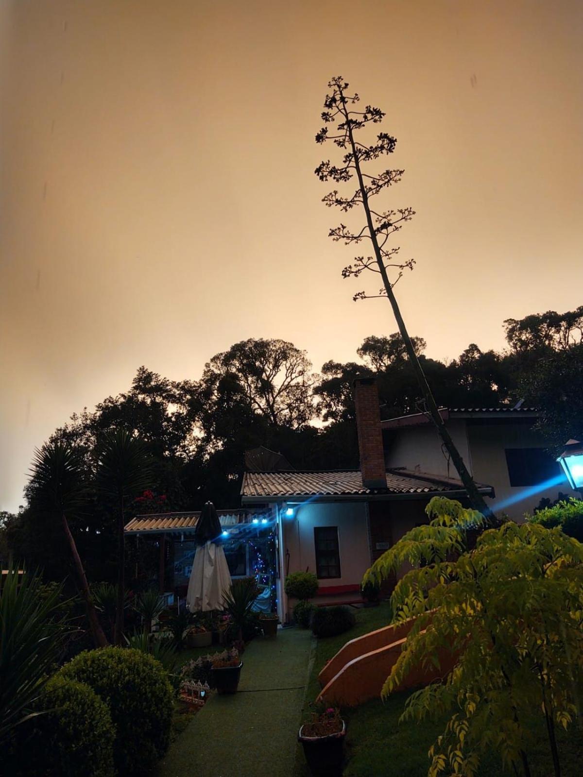 ホテル Rancho Da Raposa Campos do Jordão エクステリア 写真